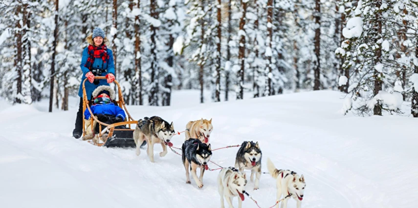Lapland Kuzey Işıkları Murmansk & St. Petersburg & Moskova Turu Ajet ile 5 Gece Vize Dahil