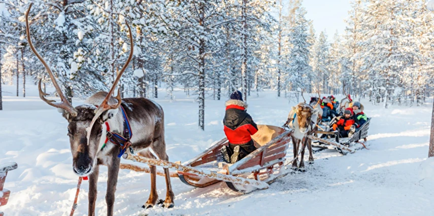 Lapland Kuzey Işıkları Murmansk & St. Petersburg & Moskova Turu Ajet ile 5 Gece Vize Dahil