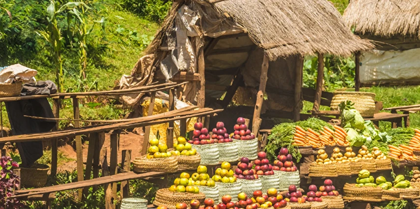 Madagaskar Seyşeller Turu Emirates Havayolları ile 8 Gece 10 Gün (EJ001)