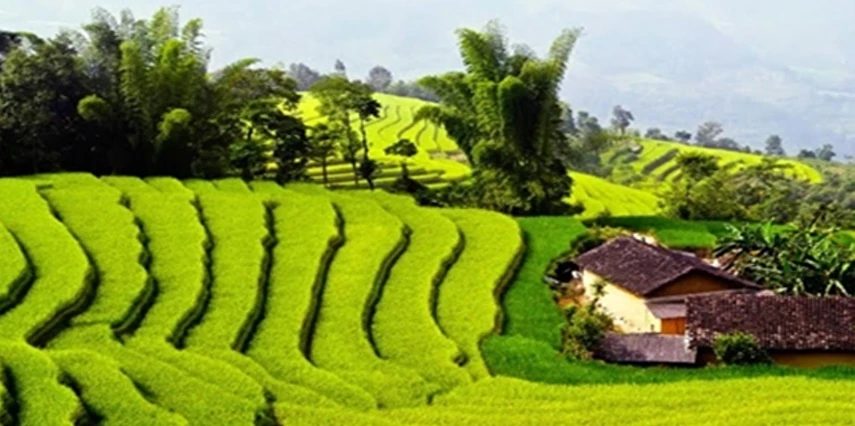 Mavi Ejderha Vietnam Kamboçya ve Tayland Turu Emirates ile 10 Gece 12 Gün SGN-BKK