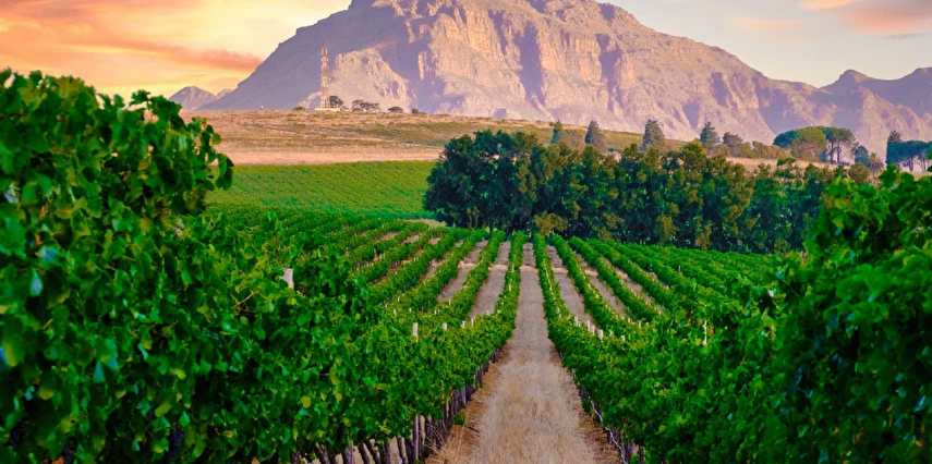 Muhteşem Güney Afrika Turu Qatar Havayolları ile 6 Gece Kış Dönemi (TCRD001)