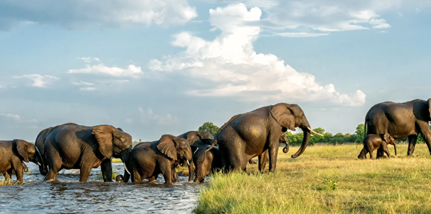 Muhteşem Güney Afrika Turu Qatar Havayolları ile 6 Gece Kış Dönemi (TCRD001)