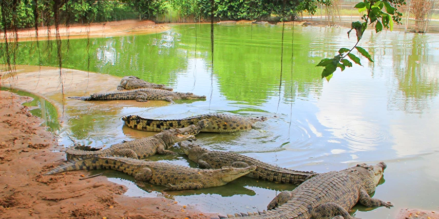 Pattaya Turu 7 Gece 9 Gün Mahan Havayolları İle Kurban Bayramı Özel 