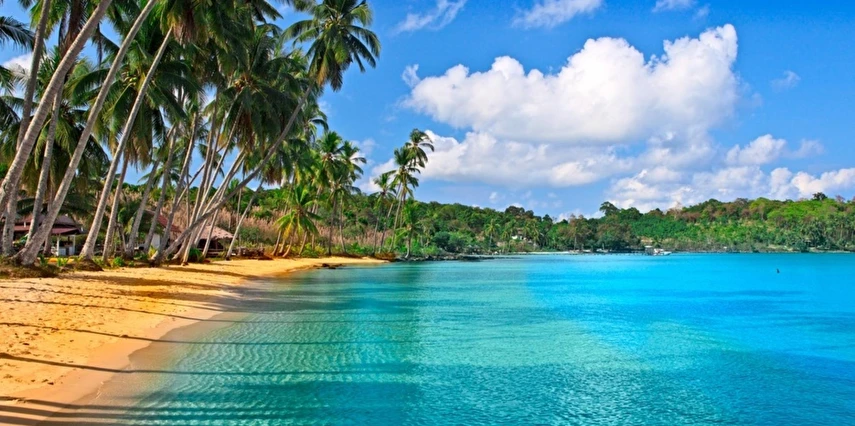 Phuket - Pattaya - Bangkok Turu 7 Gece 9 Gün Türk Havayolları İle Kurban Bayramı Özel 2 Haziran BKK-BKK