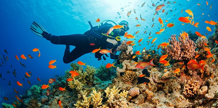 Piramitlerden Kızıldeniz’e Prestij Kahire & Sharm Turu Aircairo Hava Yolları ile 4 Gece 5 Gün