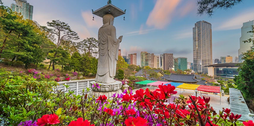 Platinum Doğu Asya'nın Güneşi ve Çiçeği Japonya ve Güney Kore Thy ile 9 Gece 11 Gün HND-ICN