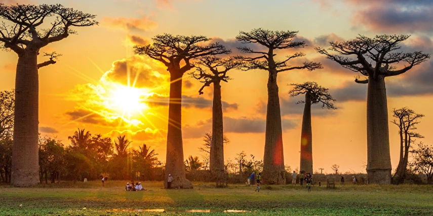 Platinum Egzotik Afrika Madagaskar ve Seyşeller Turu Thy ile 7 Gece 9 Gün