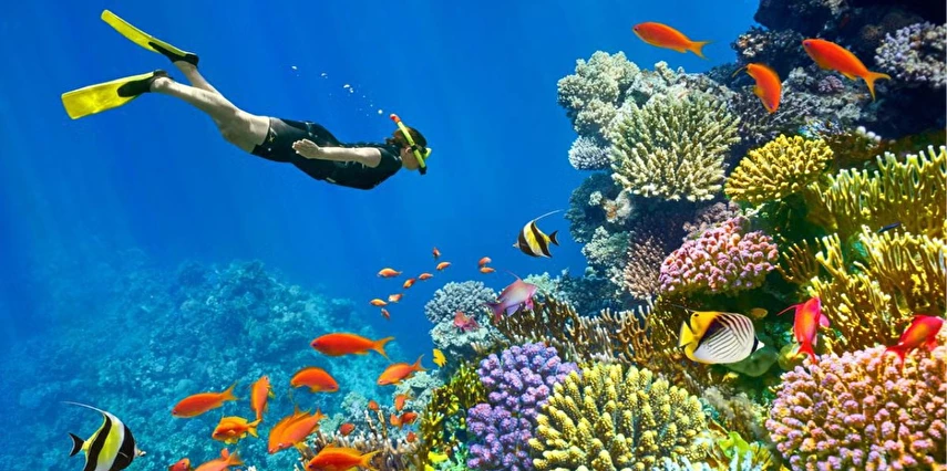 Prestij Sharm El Sheikh - Zamna Festival Turu Air Cairo Havayolları ile İstanbul Çıkışlı 4 Gece 5 Gün 