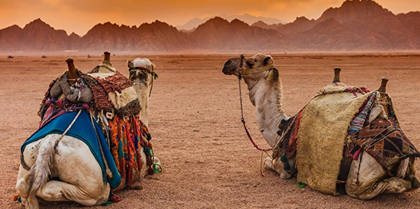 Promosyon Sharm El Sheikh Turu Ajet ile 4 Gece (Transfer Saatine Kadar Otel Kullanımlı)