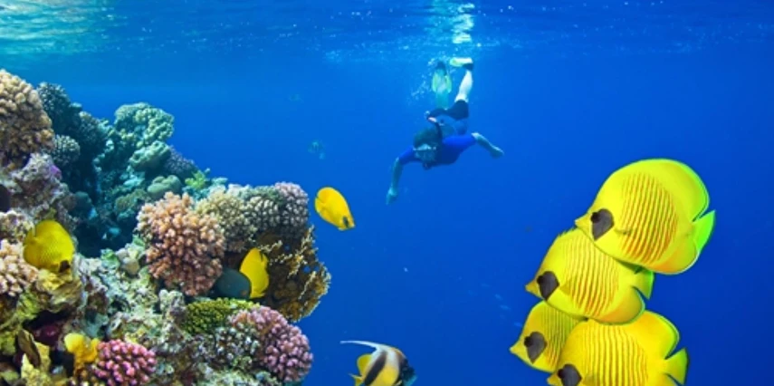 Sharm El Sheikh Turu Ajet Havayolları ile 3 Gece(Gidiş-Dönüş Gündüz Uçuşu)