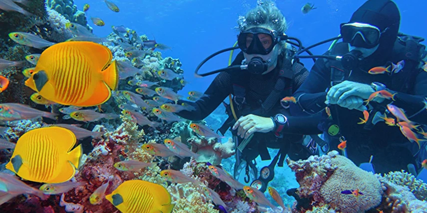 Sharm El Sheikh Turu Türk Havayolları ile 4 Gece 5 Gün (18-22 Nisan)