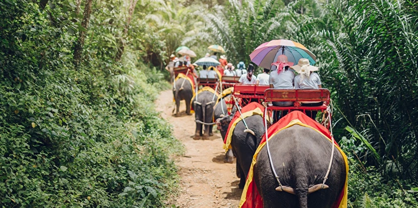 Singapur Havayolları ile 5 Gece Phuket