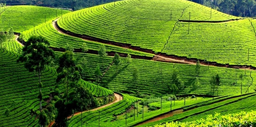 Sri Lanka Turu 6 Gece 8 Gün Türk Havayolları ile 2026 (EJ001)