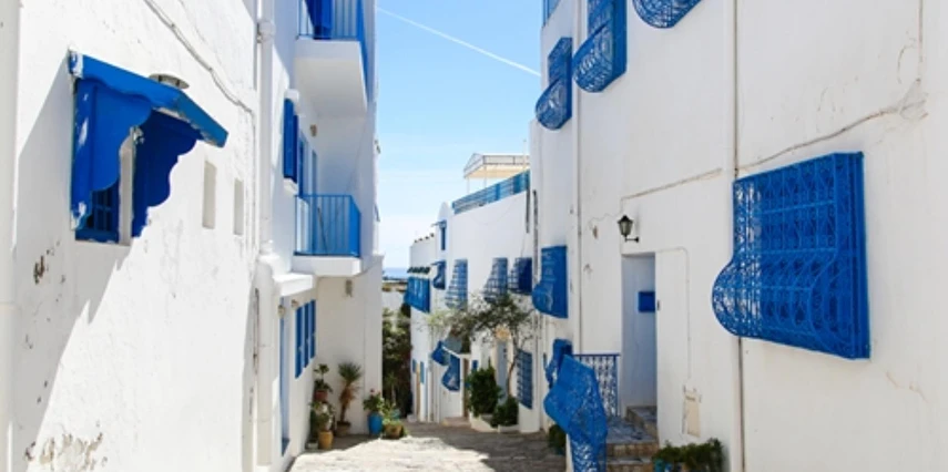 Tunus Turu Türk Havayolları İle Kurban Bayramı Özel