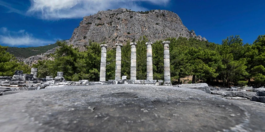 Urla Enginar Festivali Turu / 1 Gece Otel Konaklaması İstanbul Bursa Çıkışlı 