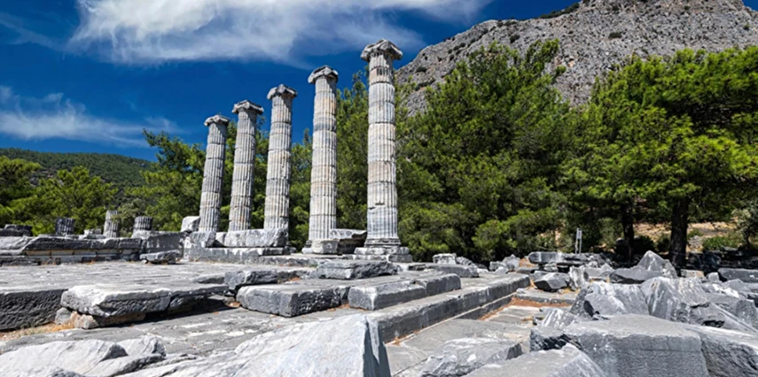 Urla Enginar Festivali Turu / Çeşme Aya Yorgi Hotel By T / 1 Gece Otel Konaklaması İstanbul Bursa Çıkışlı