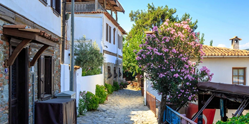 Urla Enginar Festivali Turu / Sisus Marina Hotel Çeşme / 1 Gece Otel Konaklaması İstanbul Bursa Çıkışlı