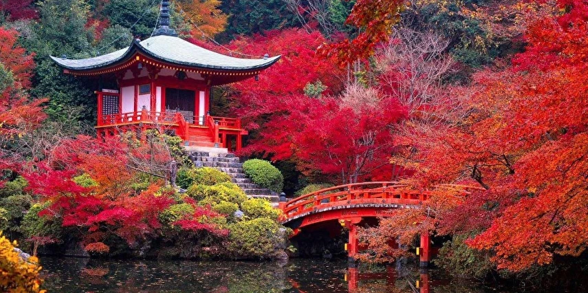 Uzak Doğu'nun İki İncisi Kore Japonya Turu Ekstra Turlar Dahil Türk Havayolları ile Ramazan Bayramı Özel