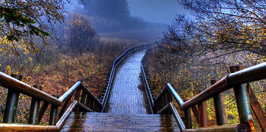 Yedigöller Göynük Mudurnu Aladağlar Abant Turu / 1 Gece Otel Konaklaması