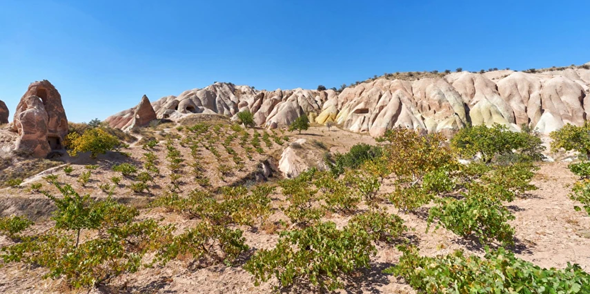 Yılbaşı Özel Kapadokya Turu / 1 Gece Suhan Cappadocia Hotel & Spa Konaklamalı Gala Dahil