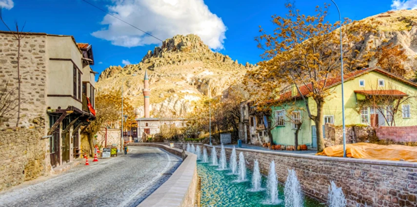 Yüksek Hızlı Tren ile Konya Çatalhöyük Lale Bahçeleri Turu / 1 Gece Otel Konaklaması